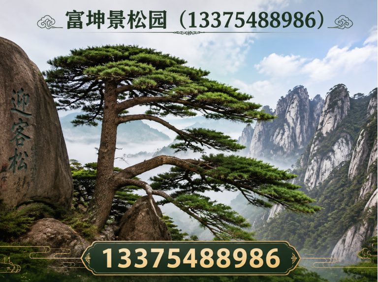 新泰市富坤景松园展示图